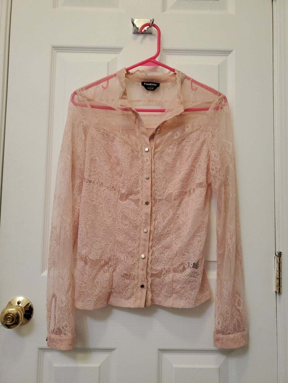 Y2K Vintage Coquette Romantic Blush Pink Sheer Floral Lace Long Sleeve Blouse